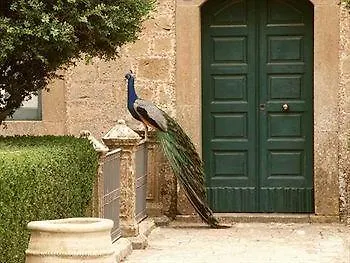 Agriturismo Savoca