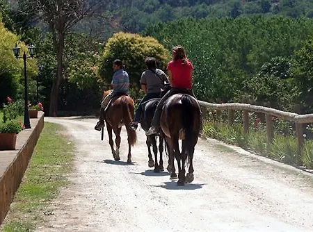 Agriturismo Savoca Alloggio per agriturismo Piazza Armerina